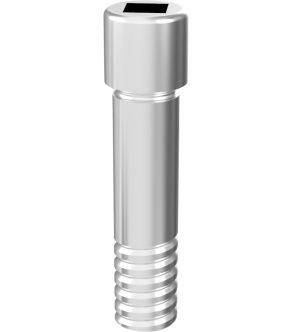 [PACK OF 10] ARUM INTERNAL SCREW Compatible With<span> Dentium® NR line NR/NR 36</span>